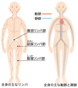 簡単 小顔ダイエット法 おじさん達のブログ 簡単 小顔ダイエット法 おじさん達のブログ