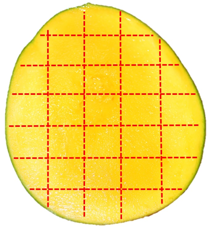 種ありマンゴーを格子状に切る