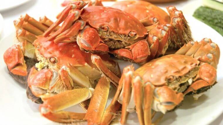 美食探偵は何話まで撮影が終わっているの？