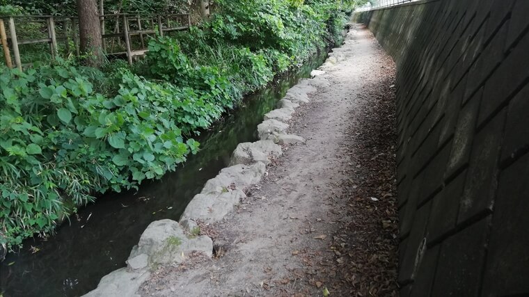 300mの小川でザリガニ釣りが可能