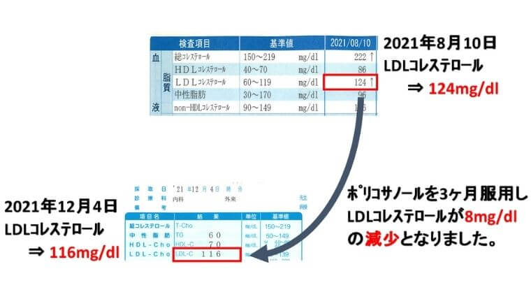 レイデル「ポリコサノール10」を3ヵ月飲んだ効果