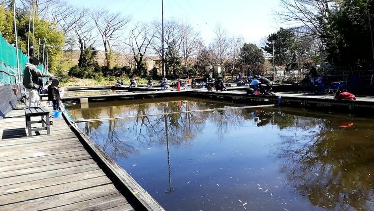 彩湖・道満グリーンパークの釣り堀情報