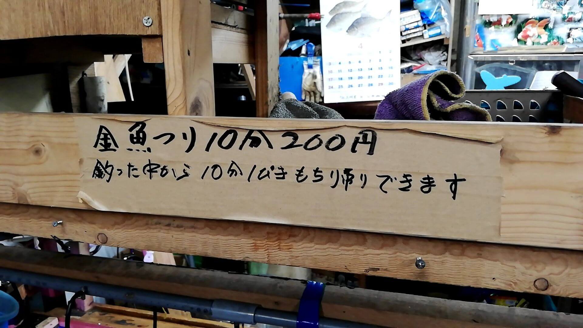 釣り堀金ちゃんで金魚を持ち帰る