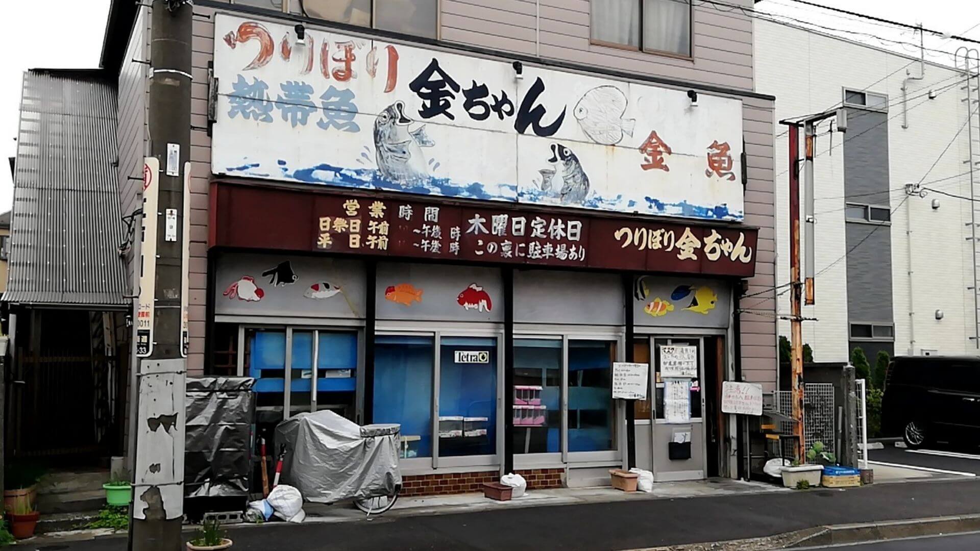 釣り堀金ちゃん（東京都江戸川区：篠崎駅）