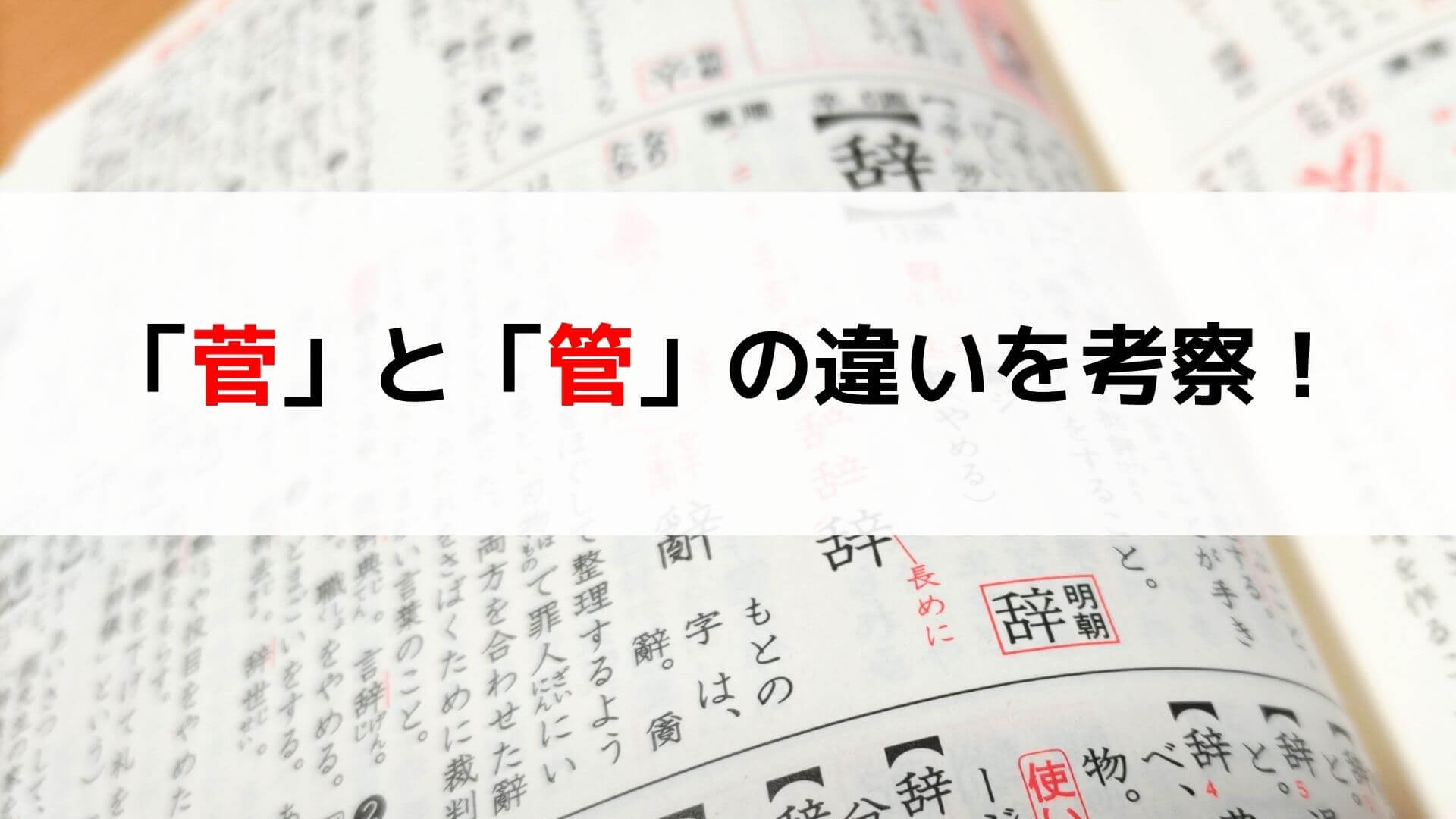 管 菅 違い